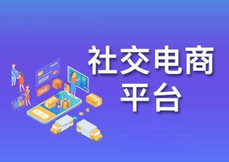 电商系统开发：打造您的专属商业王国